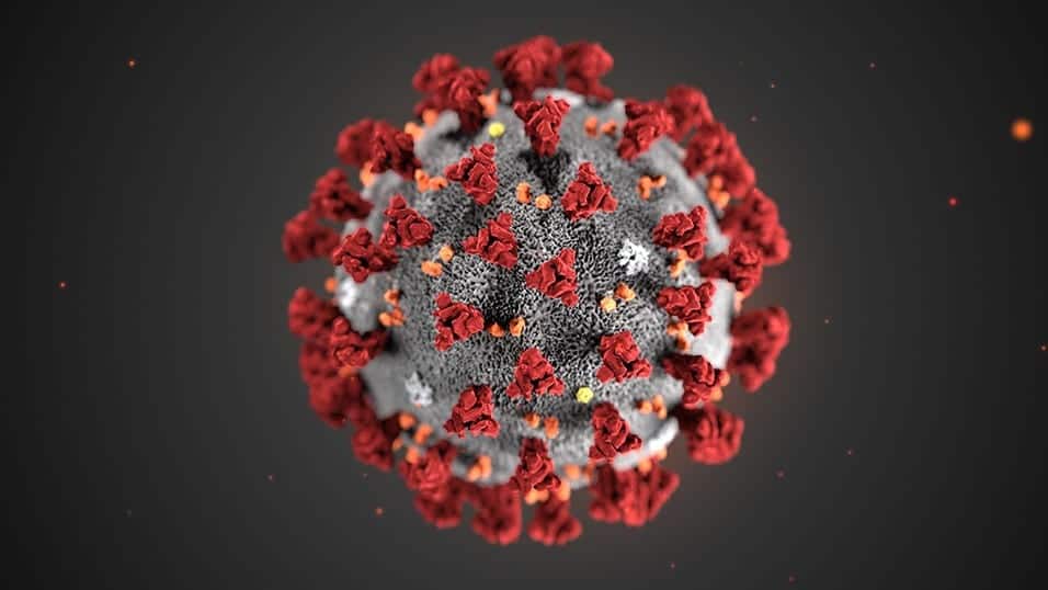 coronavirus news covid-19 Italia sanzioni cosa fare coronavirus cosa fare coronavirus sanzione
